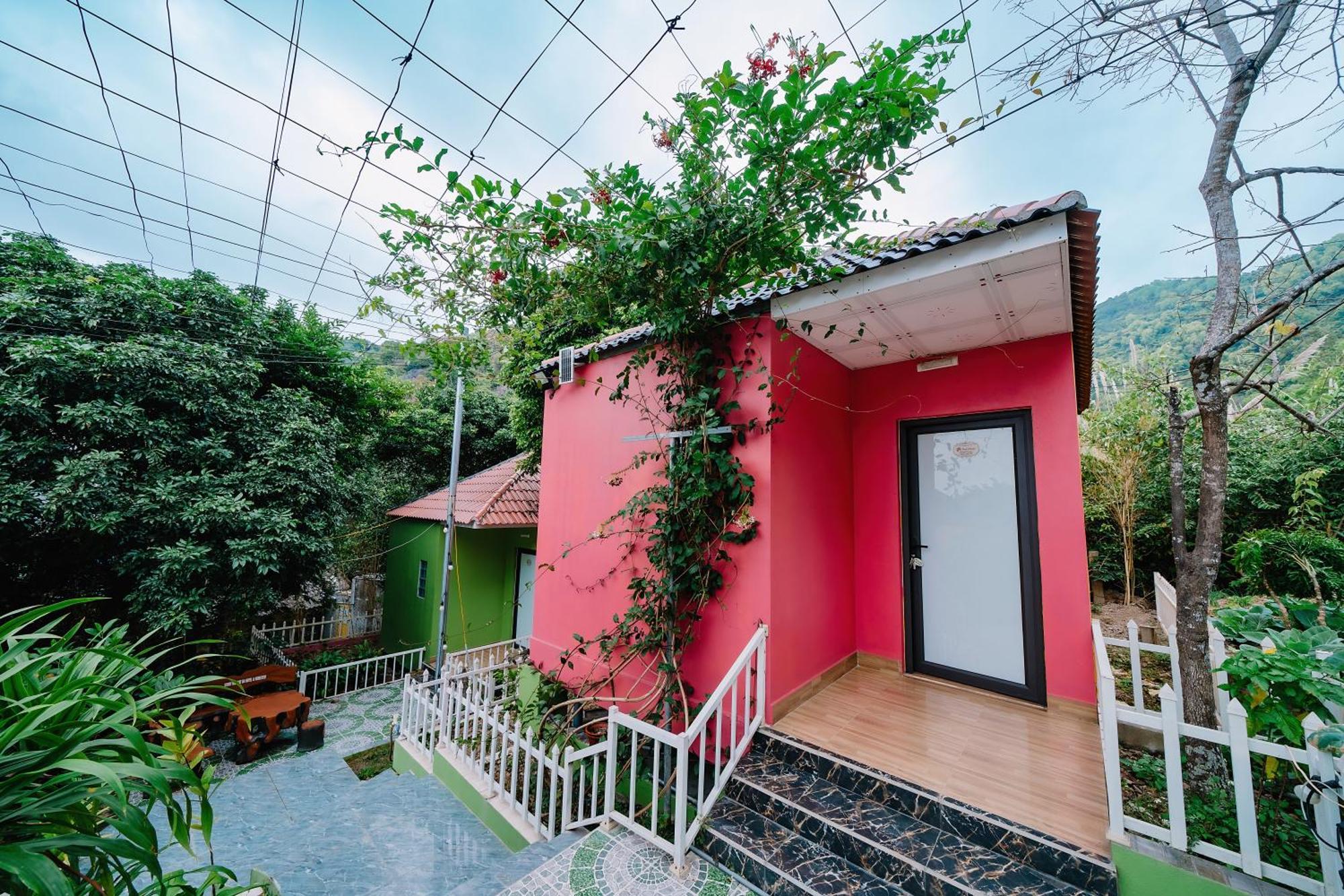 Windy Homestay Cat Ba Island Εξωτερικό φωτογραφία